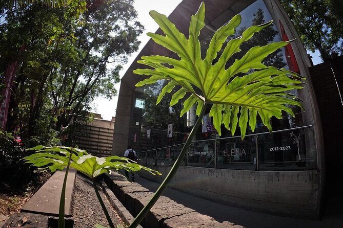 EXCLUSIVE TOUR of the Old Quarter of Coyoacan - small groups - Final Thoughts