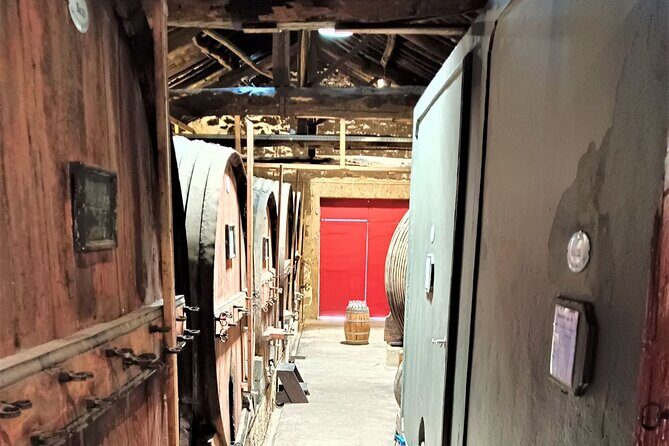 Exclusive Tour Porto-Douro Valley-Wine Tasting/Lunch/Boat Tour - Final Thoughts