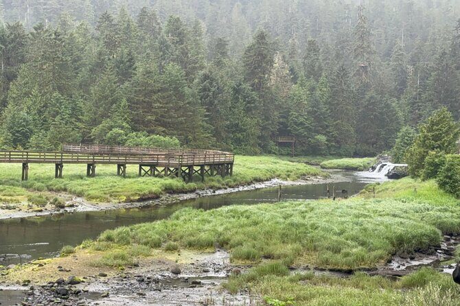 Exclusive Van Experience - Final Thoughts: Is This the Right Choice?