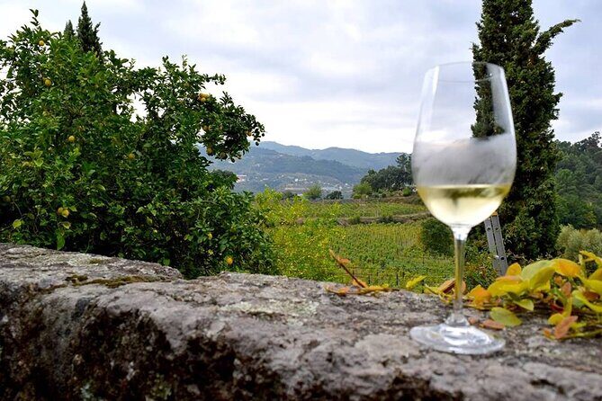 Exclusive Vinho Verde (Green Wine) experience & lunch - How Do Reviews Reflect the Experience?