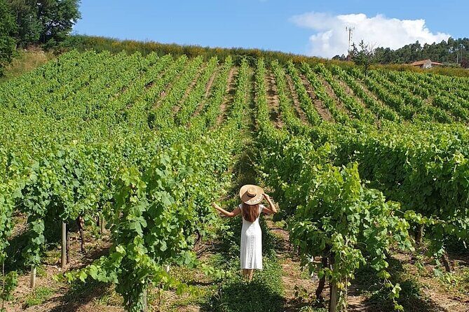 Exclusive Vinho Verde (Green Wine) experience & lunch - Practical Tips and Considerations