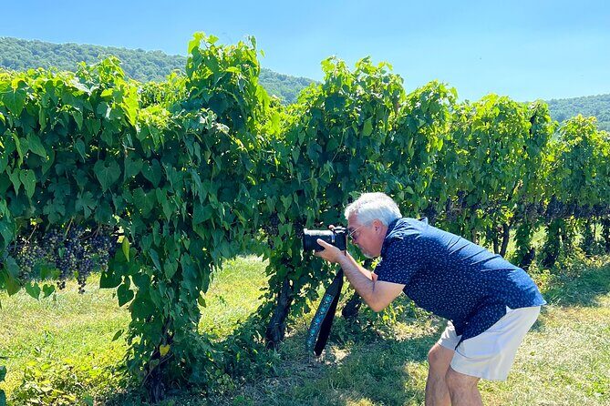 Exclusive Virginia Wine Country Day Trip Tour - Price and Value