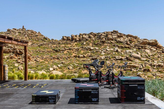 Exclusive Wellness Day Experience in Mykonos - The Price and Value