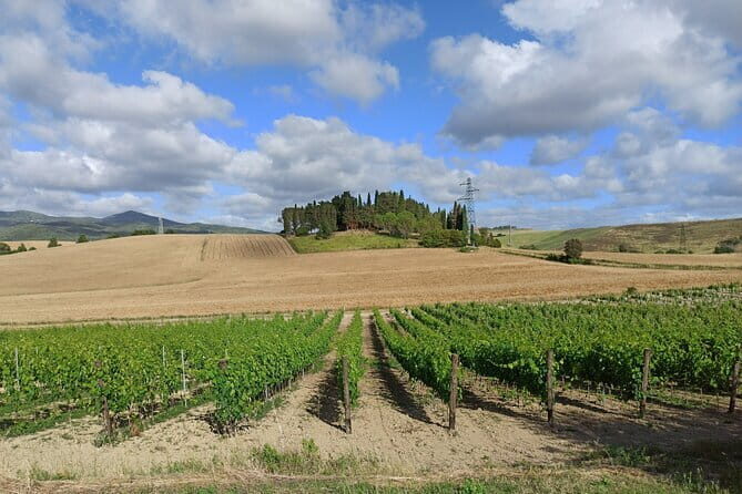 EXCLUSIVE Wine Tour in Chianti & San Gimignano (Lunch & Wine Tasting included) - Practical Details That Matter