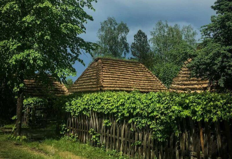 Exclusive Wine Tour in Serbia: Tastings, History & Beauty - Key Points