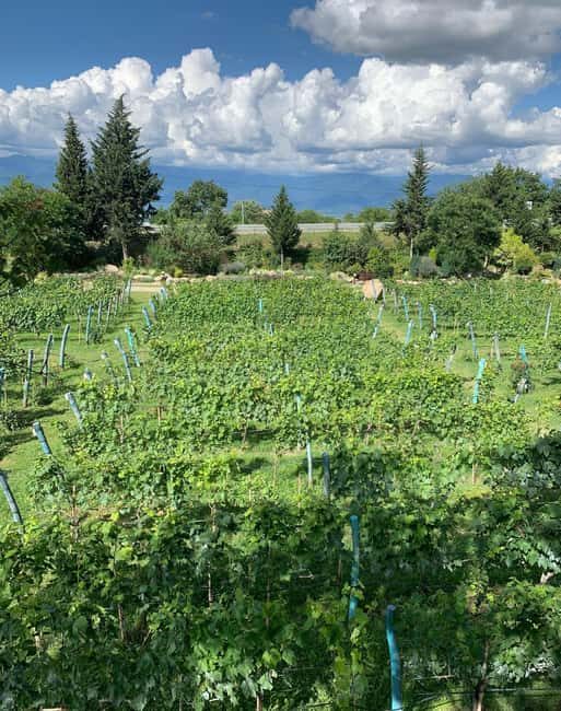 Exclusive Wine Tour in Serbia: Tastings, History & Beauty - Final Thoughts: Is It Worth It?