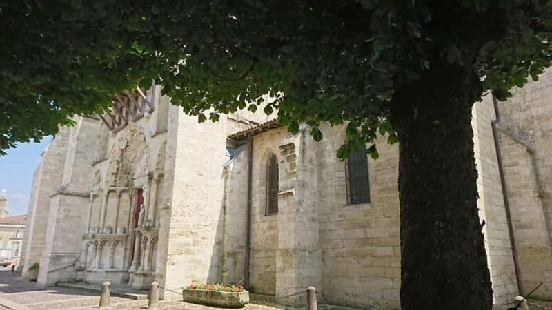 Exclusive Wine Tour of the St-Émilion Chateaux with tastings - What You Can Expect from the Tour