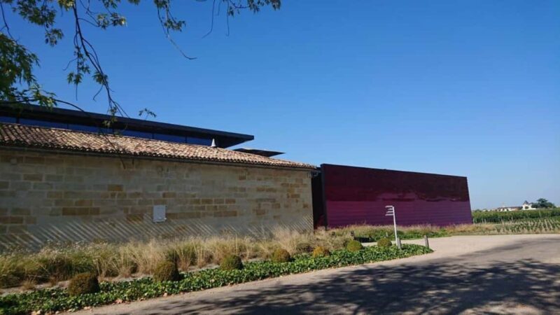 Exclusive Wine Tour of the St-Émilion Chateaux with tastings - Who Is This Tour Perfect For?