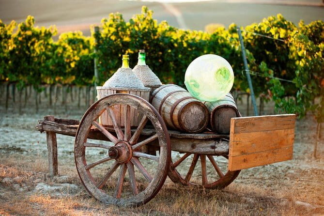 Exclusive Winery Tour with Tasting and Dinner in Chianti vineyard - Who Will Love This Tour?