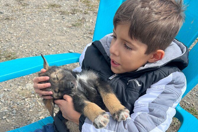 Exclusive Yukon Full-Day Tour with Dog Mushing Adventure - The Full Experience: What You Can Expect