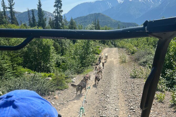 Exclusive Yukon Full-Day Tour with Dog Mushing Adventure - Who Will Love This Tour?