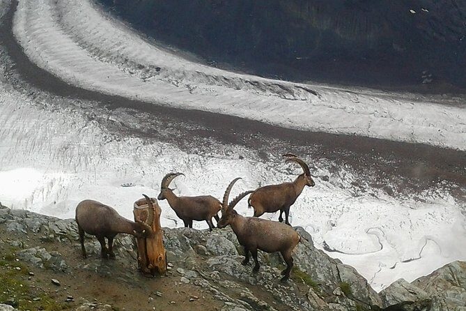 Exclusive Zermatt and Matterhorn: Small Group Tour from Basel - The Journey Begins: Basel to Zermatt