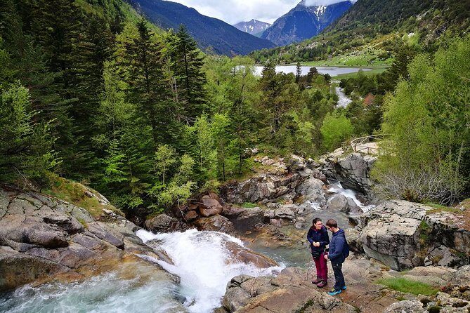 Excursion Aigüestortes - Estany Llebreta (1/2 day) - A Closer Look at the Tour Experience