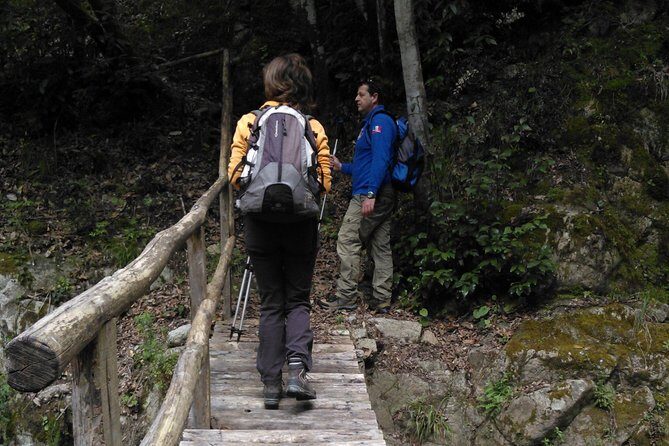 Excursion and hiking in Calabria, Italy - The Heart of Calabria: What to Expect from the Tour