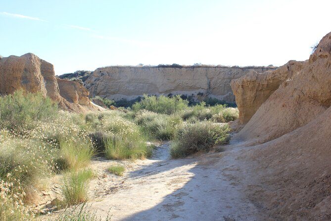 Excursion by car with official guide in Bardenas Reales - The Sum Up