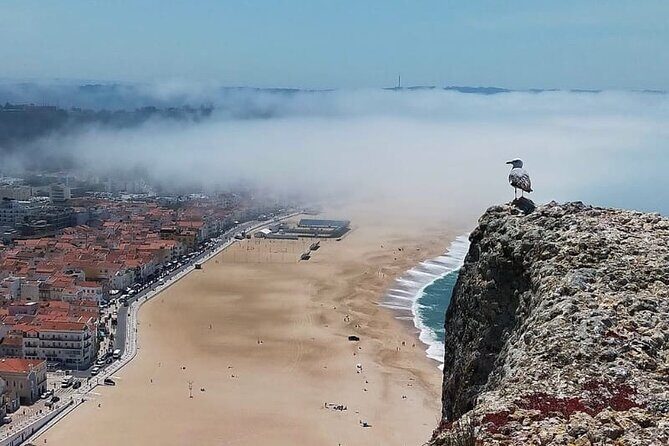 Excursion from Lisbon to Fátima Grutas Nazaré and Óbidos - A Deep Dive into the Experience