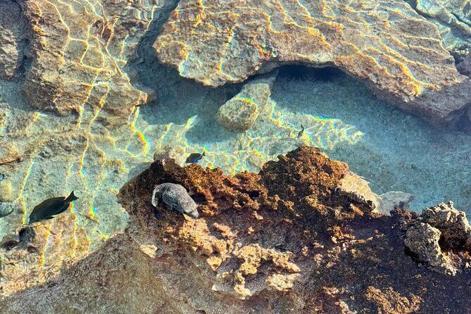 Excursion The Blue Lagoon and Reef Island - The Experience: What Its Like on the Water