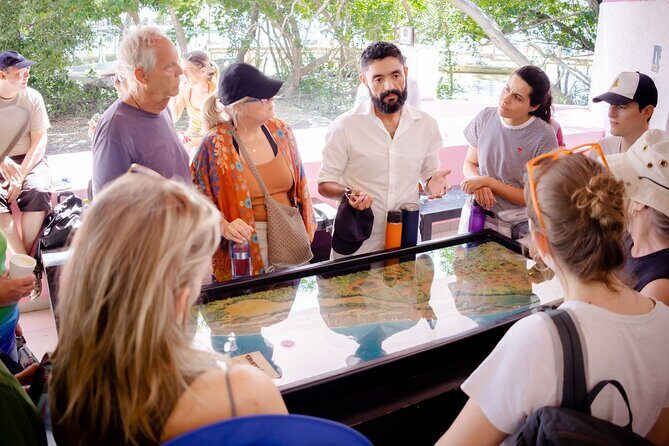 Excursion to Celestun Biosphere and Beach Day from Merida - FAQs About the Celestún Biosphere & Beach Day Tour