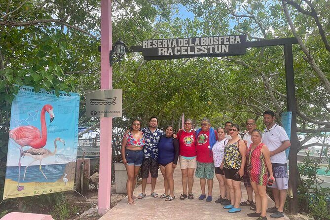 Excursion to Celestun, Swimming, Hiking & Boat Ride - What Travelers Say