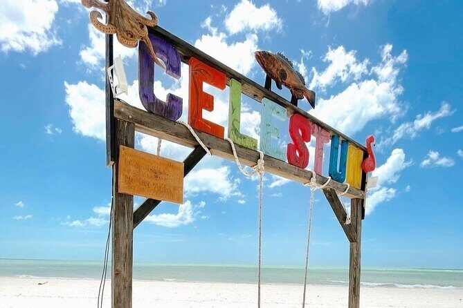 Excursion to Celestun, Swimming, Hiking & Boat Ride - The Sum Up