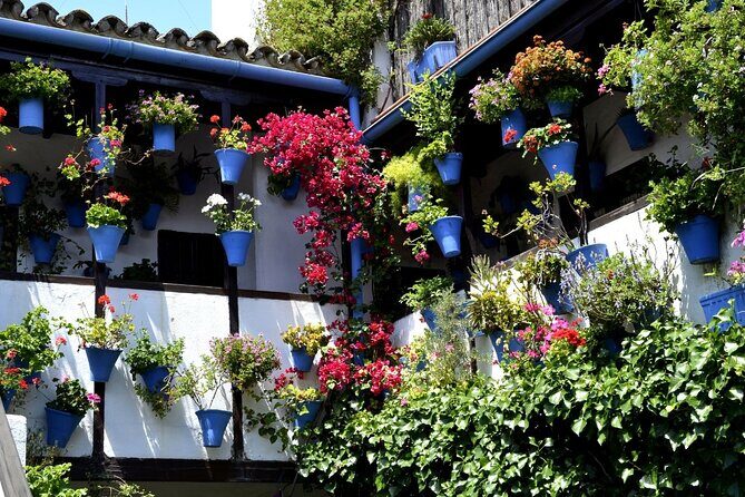 Excursion to Córdoba from Malaga - An In-Depth Look at the Córdoba Day Trip from Malaga