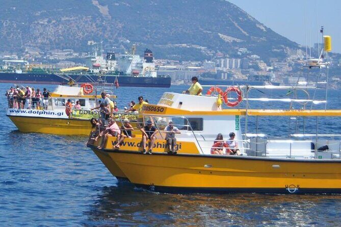 Excursion to Gibraltar with Dolphin Watching from Malaga - In-Depth Look at the Tour Experience