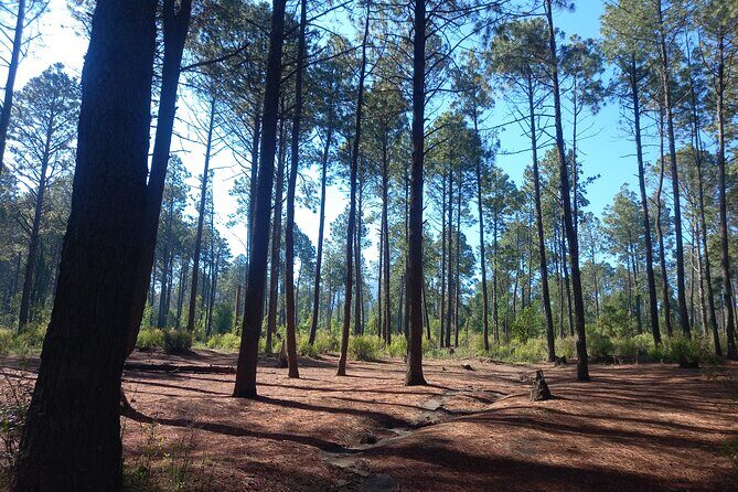 Excursion to La Cima de La Malinche from Mexico City - FAQs