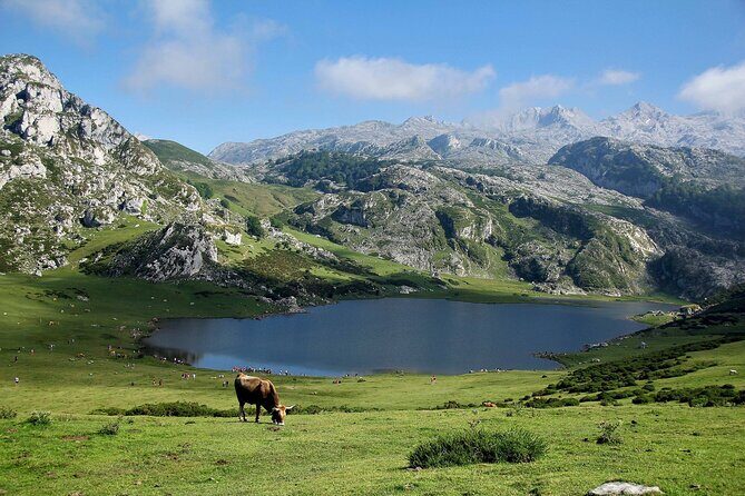 Excursion to Lakes of Covadonga and Cangas de Onís from Oviedo - FAQ