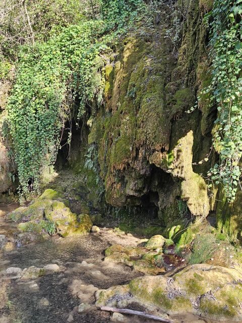 Excursion to Plitvice National Park - The Practical Details and What Travelers Say