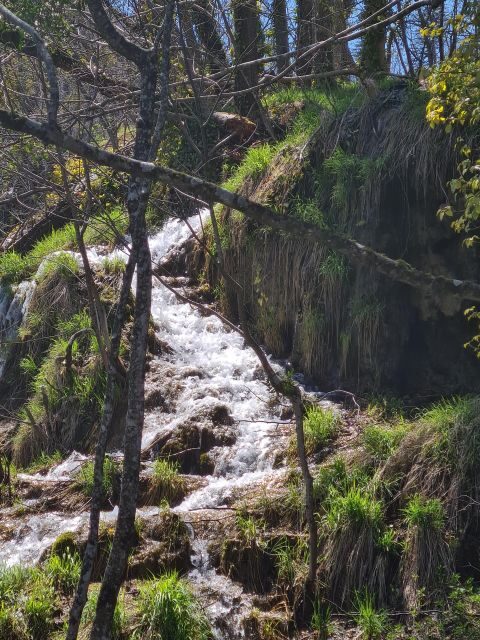 Excursion to Plitvice National Park - FAQ