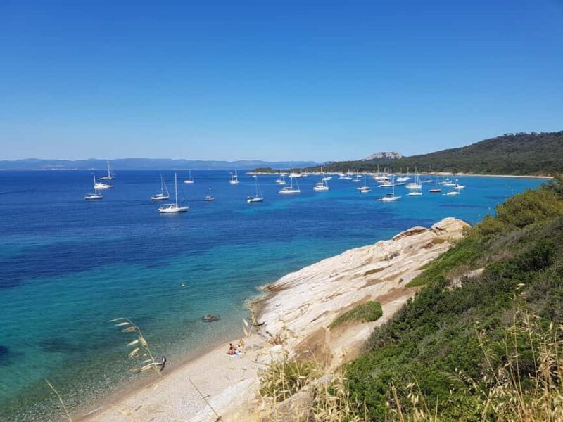Excursion to Porquerolles Island from Bandol - What to Expect from the Tour