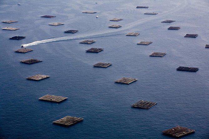 Excursion to Rias Baixas with Winery - Optional mussel boat - Final Thoughts