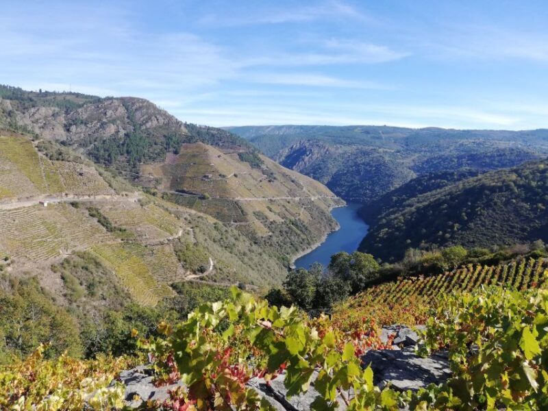 Excursion to Ribeira Sacra and Ourense - FAQs