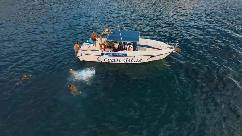 Excursion to see the whales - 3 Hours - Pricing and Value for Money