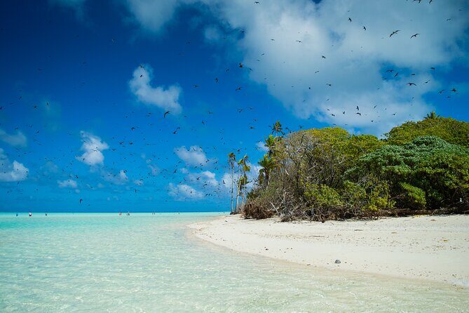 Excursion to Tetiaroa by Catamaran Visit Lunch Snorkeling - FAQs About This Tetiaroa Catamaran Tour