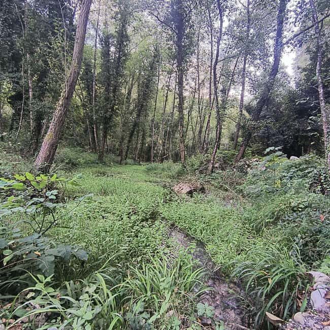 Excursion to the Lao River Gorges - Why Consider the Lao River Gorges Excursion?