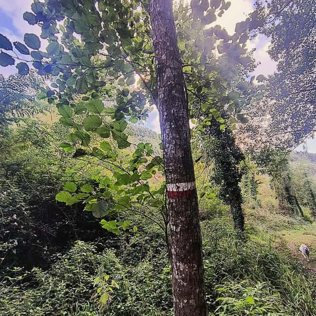 Excursion to the Lao River Gorges - FAQ