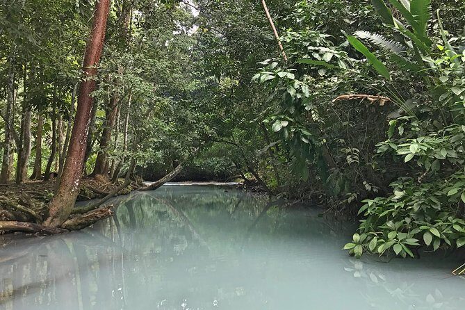 Excursion to Waterfalls of Villaluz and Tapijulapa "Magic Town" - The Practical Side: Timing, Transportation, and Group Size