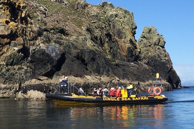 Exhilarating Rib experience - Dingle sea safari - The Experience from the Crew