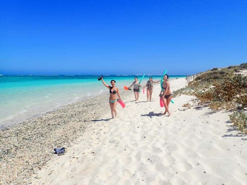 Exmouth: Guided Ningaloo Reef Snorkel Adventure - What to Expect from This Tour