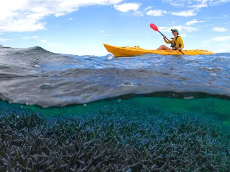 Exmouth: Half Day Coral by Kayak tour - Key Points