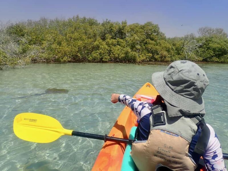 Exmouth: Half Day Turtle Kayak & Snorkel Tour - FAQ