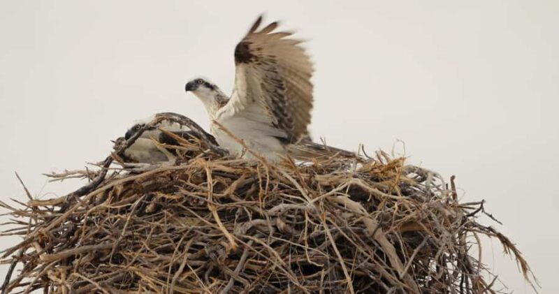 Exmouth: Yardie Creek Boat Tour - Who Will Love This Tour?