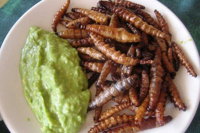 Exotic Food Tasting: Taste the Unexpected - FAQ