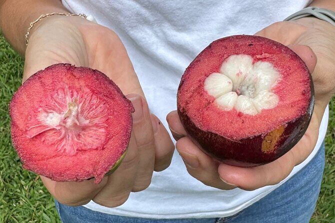 Exotic Fruit Tasting Tour in Kona - Introduction