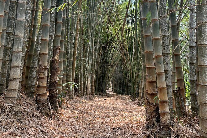 Exotic Garden EN Rancho Ecoturístico - Final Thoughts