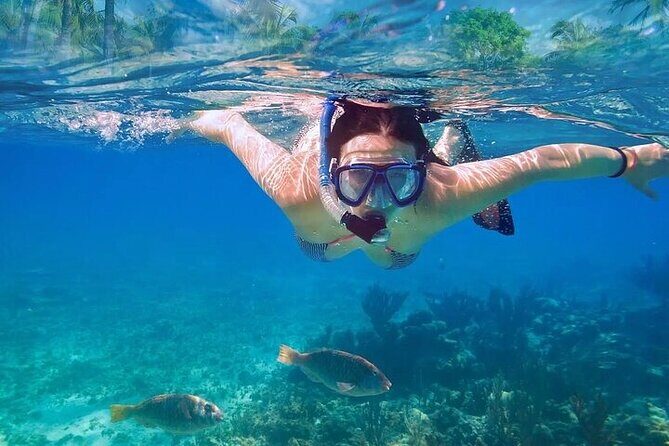 Exotik half a day tour: Cenote Cave and Swimming with Sea Turtles - Pricing and Value