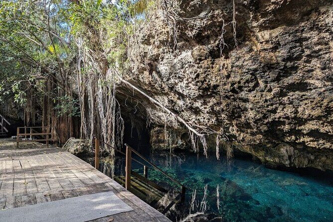 Exotik half a day tour: Cenote Cave and Swimming with Sea Turtles - The Itinerary in Detail