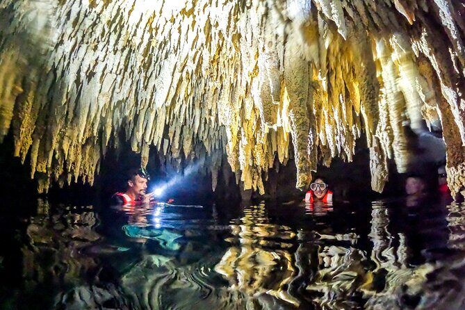 Exotik half a day tour: Cenote Cave and Swimming with Sea Turtles - Real Traveler Feedback