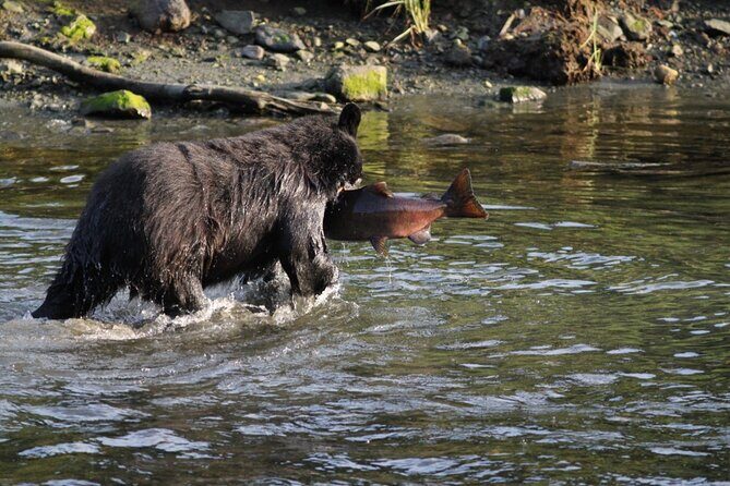 Expedition Black Bear - 6 Passenger Boat - Key Points